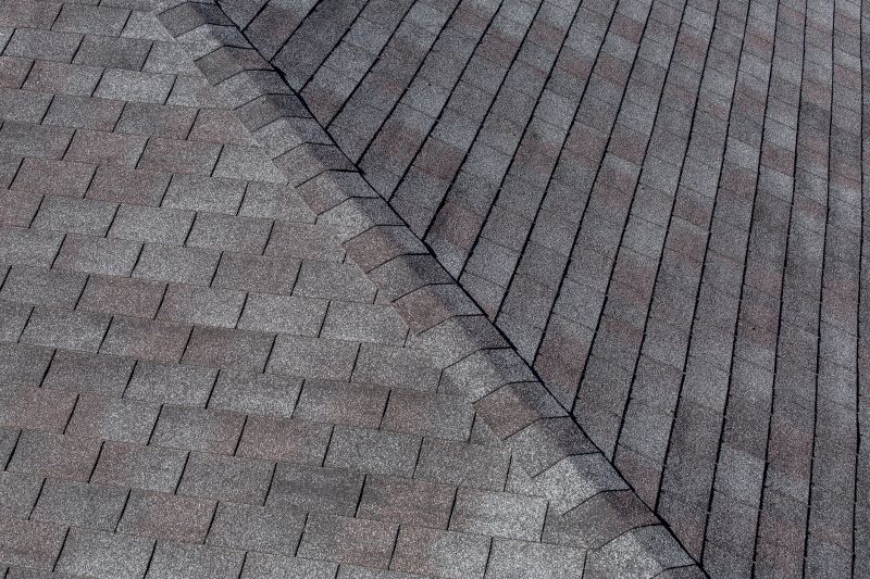 Local Asphalt Shingles Cleaning in Holly Ridge, NC