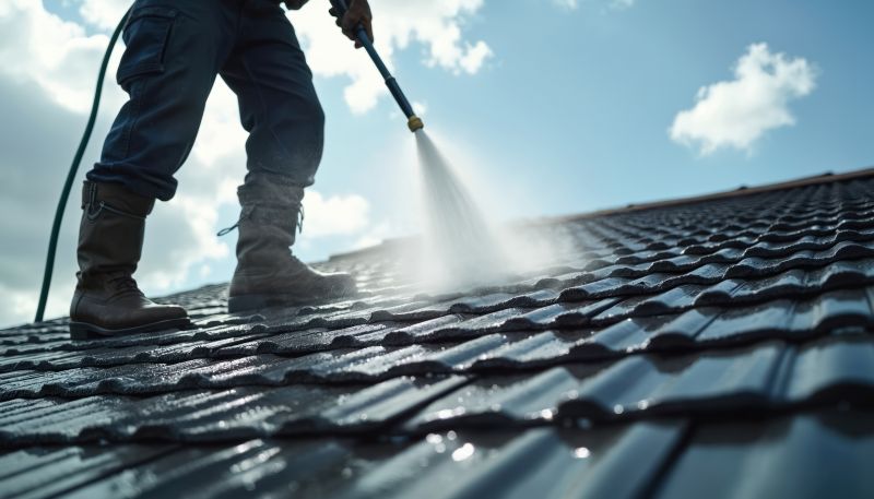 Local Asphalt Shingles Cleaning in Kalama, WA