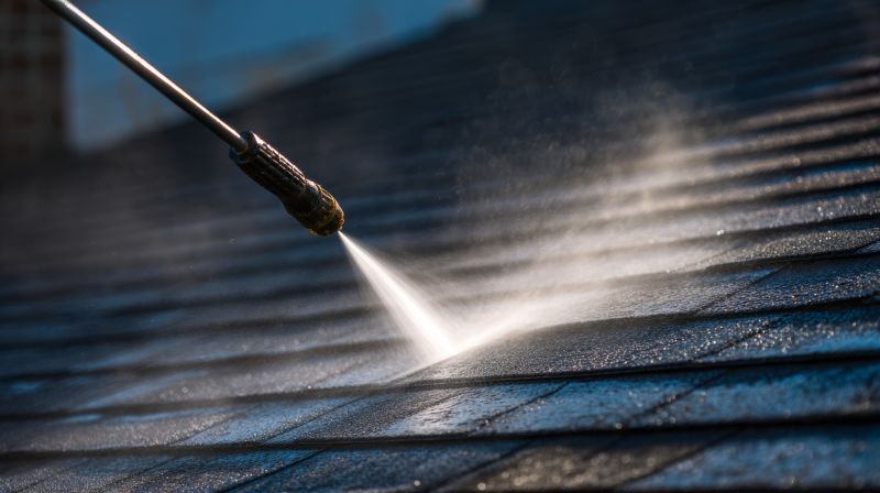 Local Asphalt Shingles Cleaning in Mundelein, IL