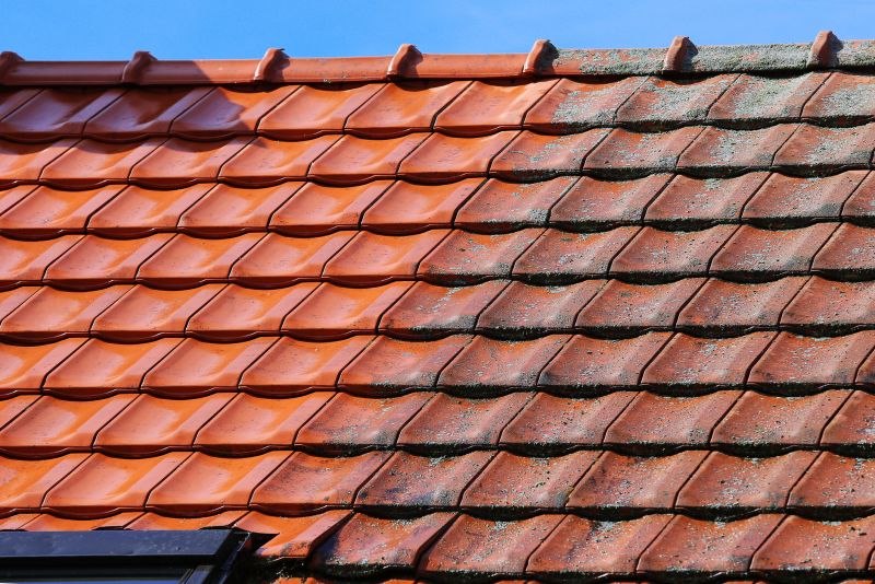 How Roof Cleaning Helps Prevent Mold, Algae, And Moss Growth
