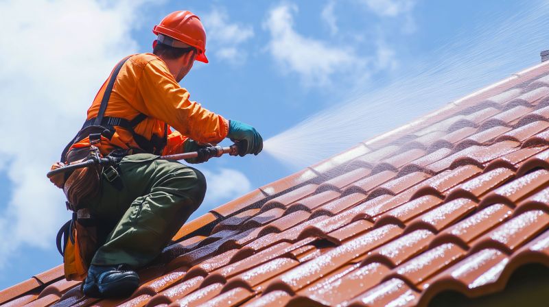 Local Roof Cleaning in Franklin, WI