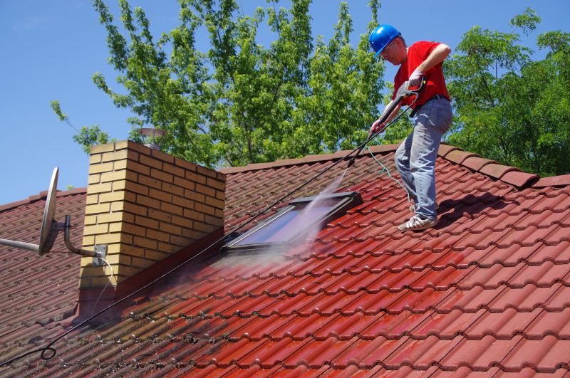 Local Roof Cleaning in Kenosha, WI