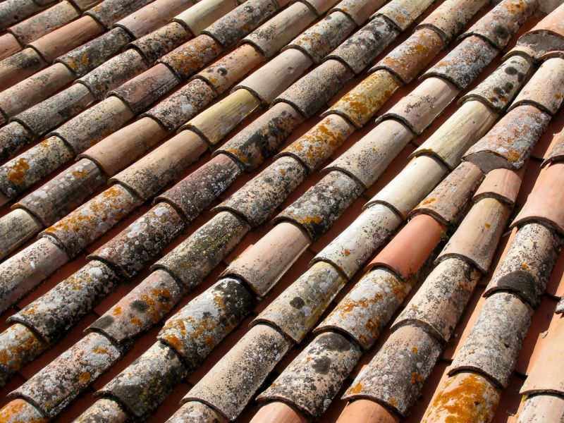 Local Roof Mildew Removal in Barrington, IL