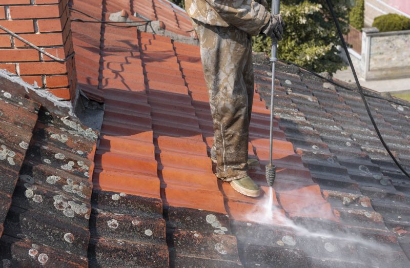Local Roof Stain Removal in Evanston, IL