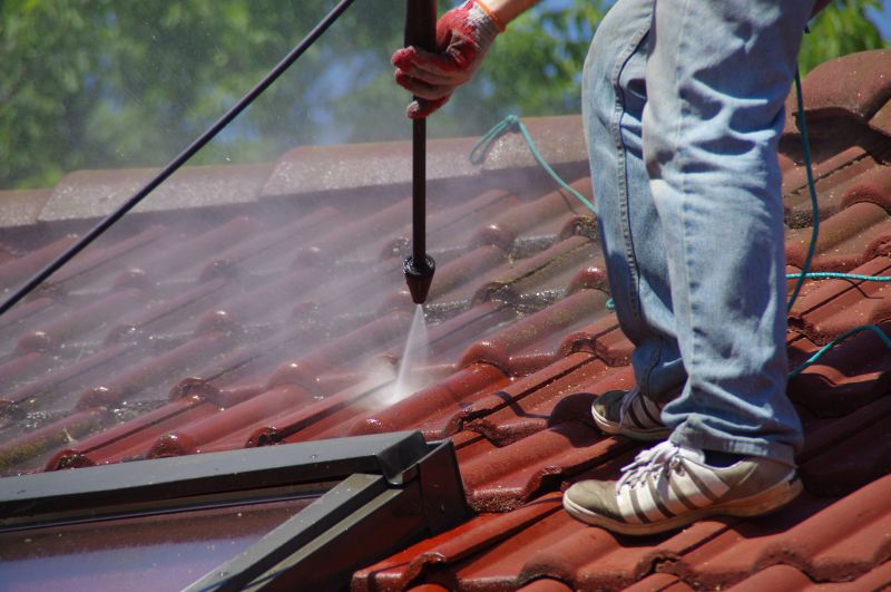 Local Roof Stain Removal in Glenview, IL