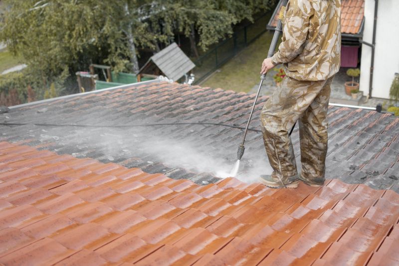 Local Roof Stain Removal in Schaumburg, IL