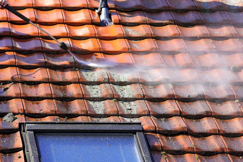Local Tile Roof Cleaning in Elk Grove Village, IL