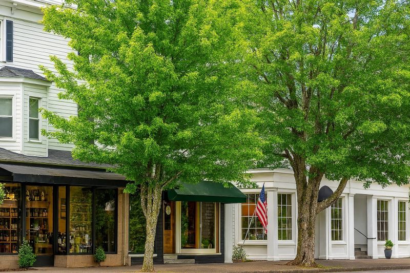 Local Asphalt Shingles Cleaning in Ridgefield, WA