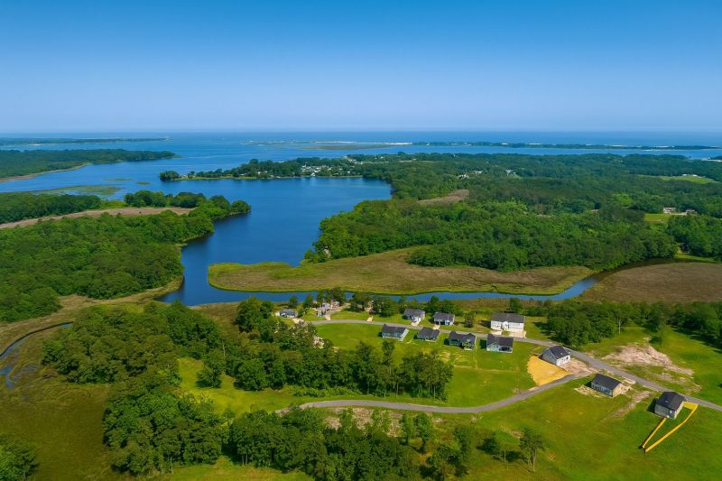 Local Roof Algae Removal in Hubert, NC