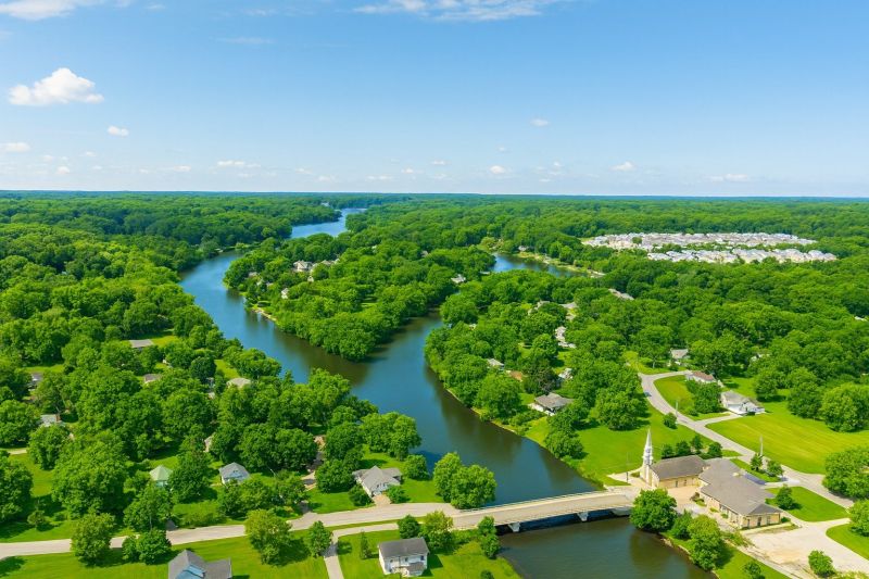 Local Roof Fungus Removal in Waterford, WI