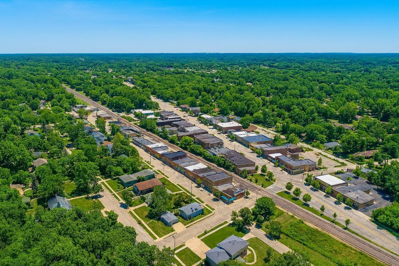Local Roof Fungus Removal in Cary, IL