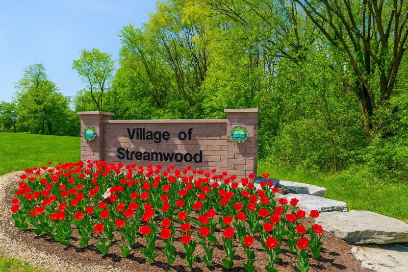 Local Roof Mildew Removal in Streamwood, IL