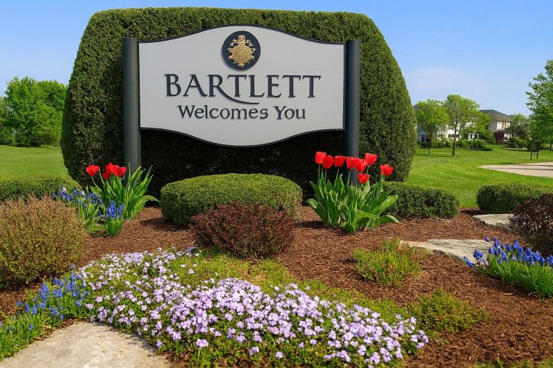 Local Roof Mildew Removal in Bartlett, IL