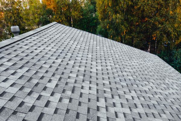 Roof Sweeping Service