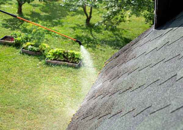 Roof Algae Cleaning Service