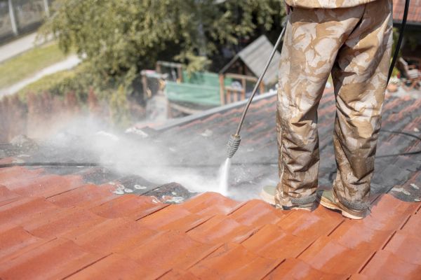 Roof Lichen Removal Service