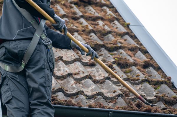 Roof Fungus Treatment