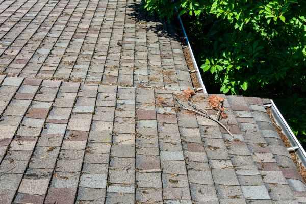 Shingle Roof Cleaning Service